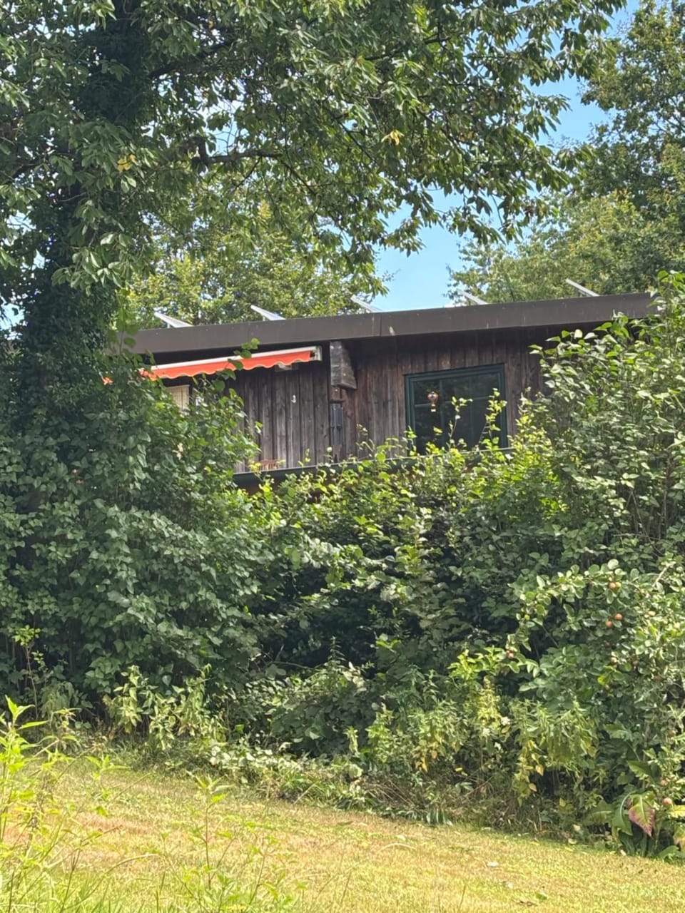 3 Zimmer Ferienwohnung am Naturschutzgebiet mit See Apartment in Schleswig-Holstein