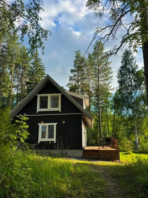 Norppa Lake Resort Hotel in Finland