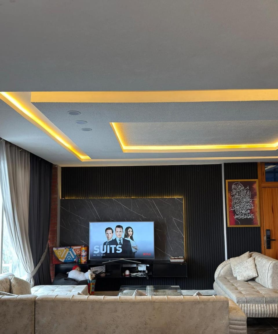 TV and multimedia, Living room