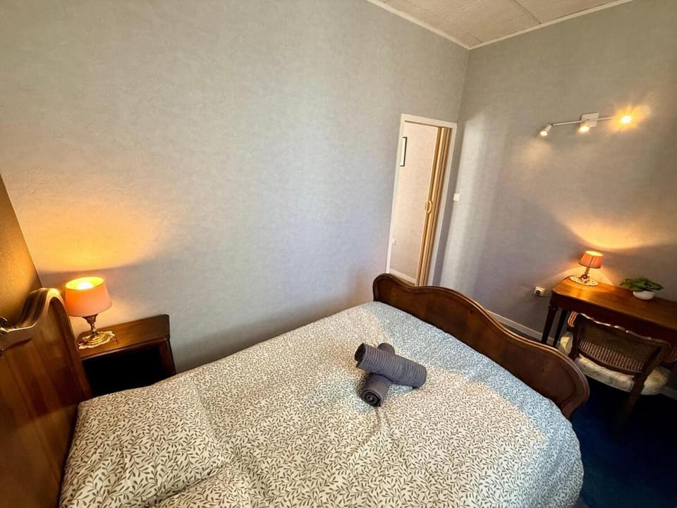 L'intemporel Chez Mémé - Centre - Saint Etienne Apartment in Saint-Étienne