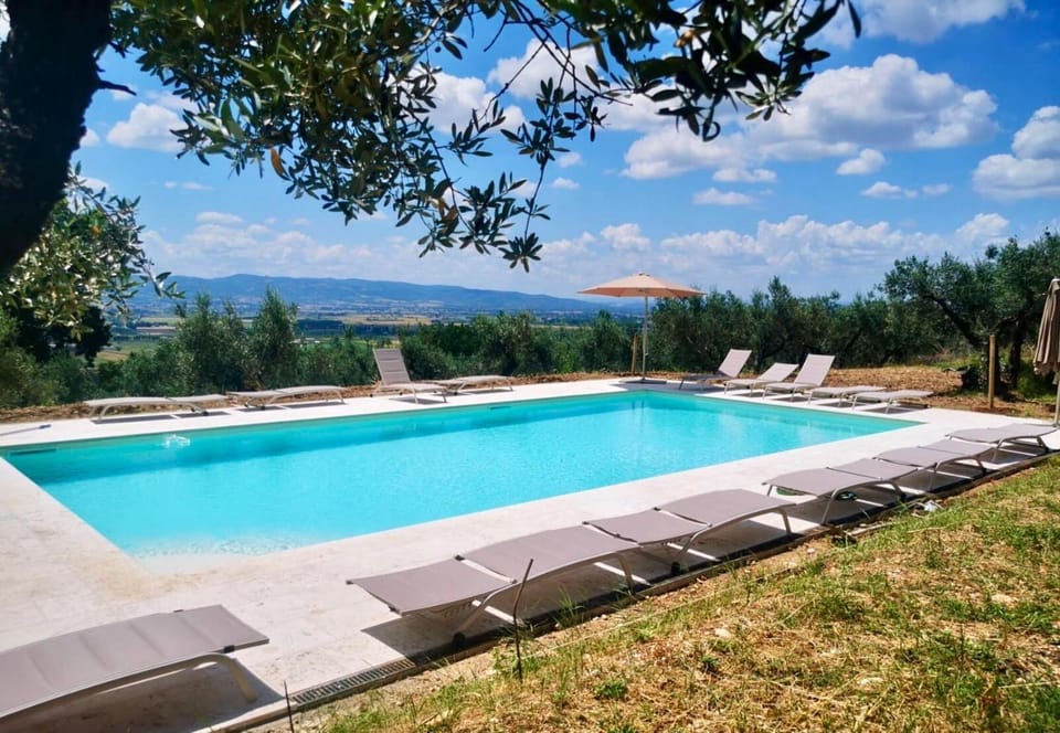 Spring, Summer, Garden, Autumn, Swimming pool