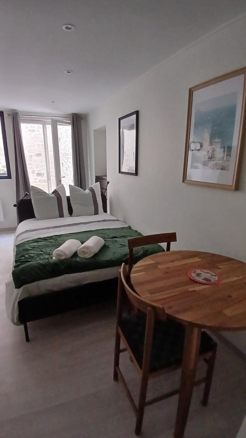 Le Patio Studio avec cour privée en cœur de ville Apartment in Clermont-Ferrand