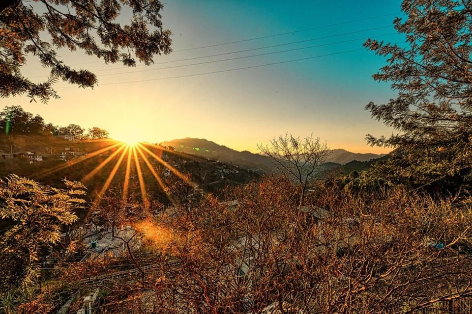 Hillside Cabin 2BHK Dharampur Near Kasauli 8MH Cabin in Himachal Pradesh