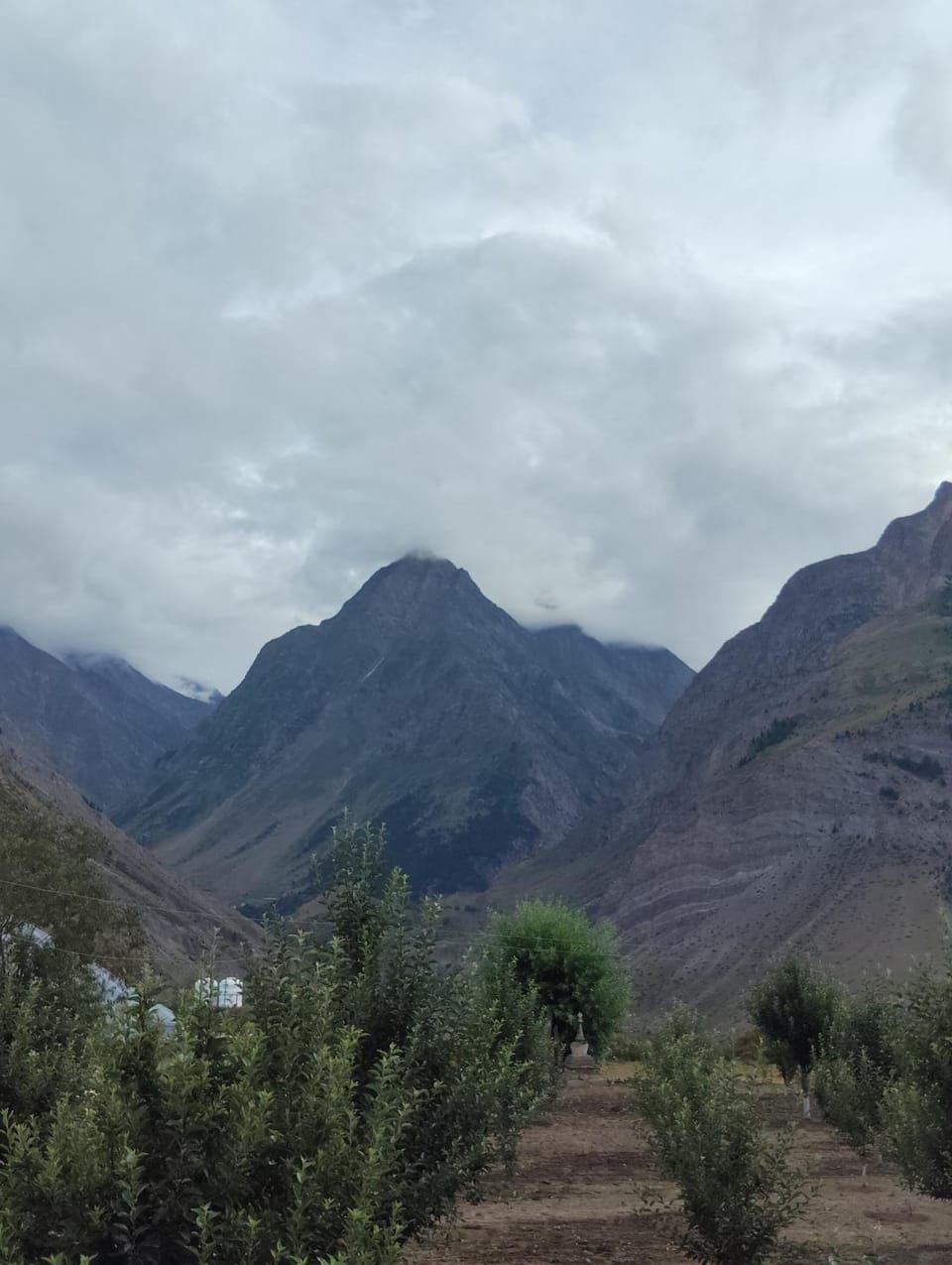 Mountain view