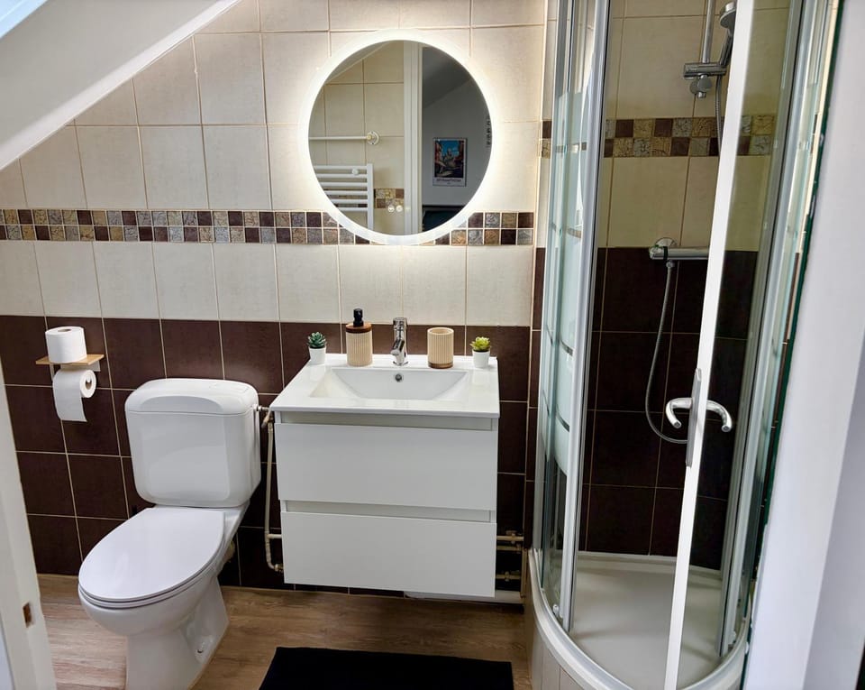 Shower, Toilet, Bathroom, towels