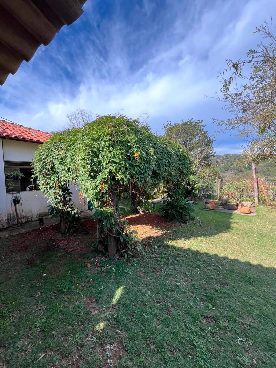Chácara Bela Vista House in State of São Paulo