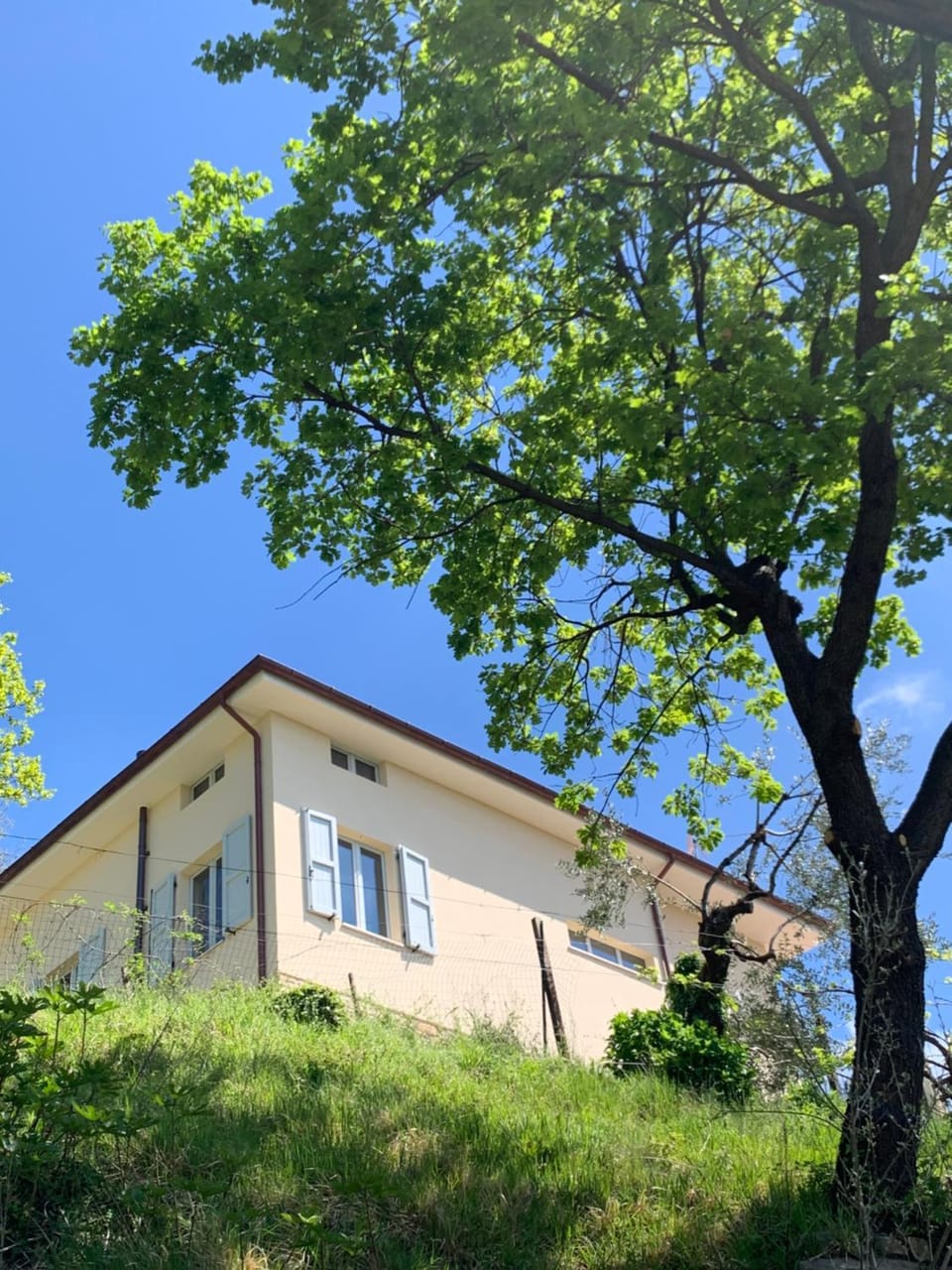 Property building, Day, Garden