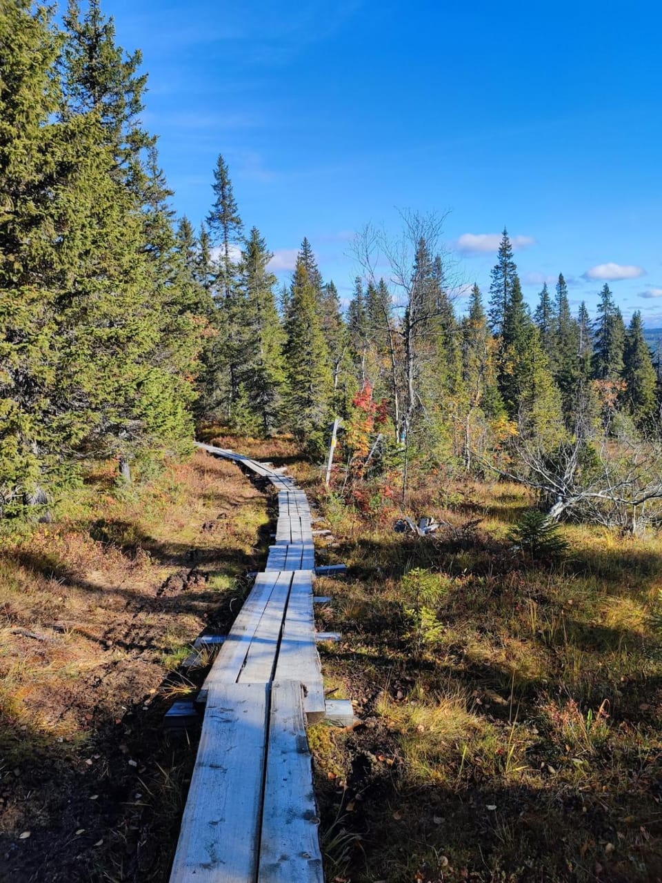 Natural landscape