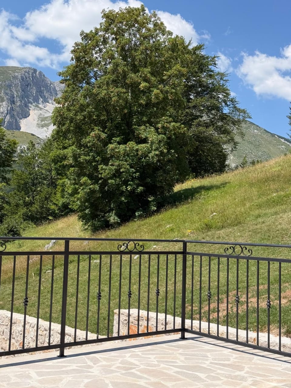 Garden, View (from property/room)