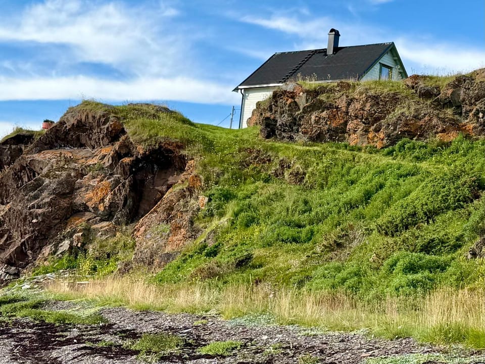 House by Varangerfjorden, bird watching and white-tailed eagles House in Troms Og Finnmark