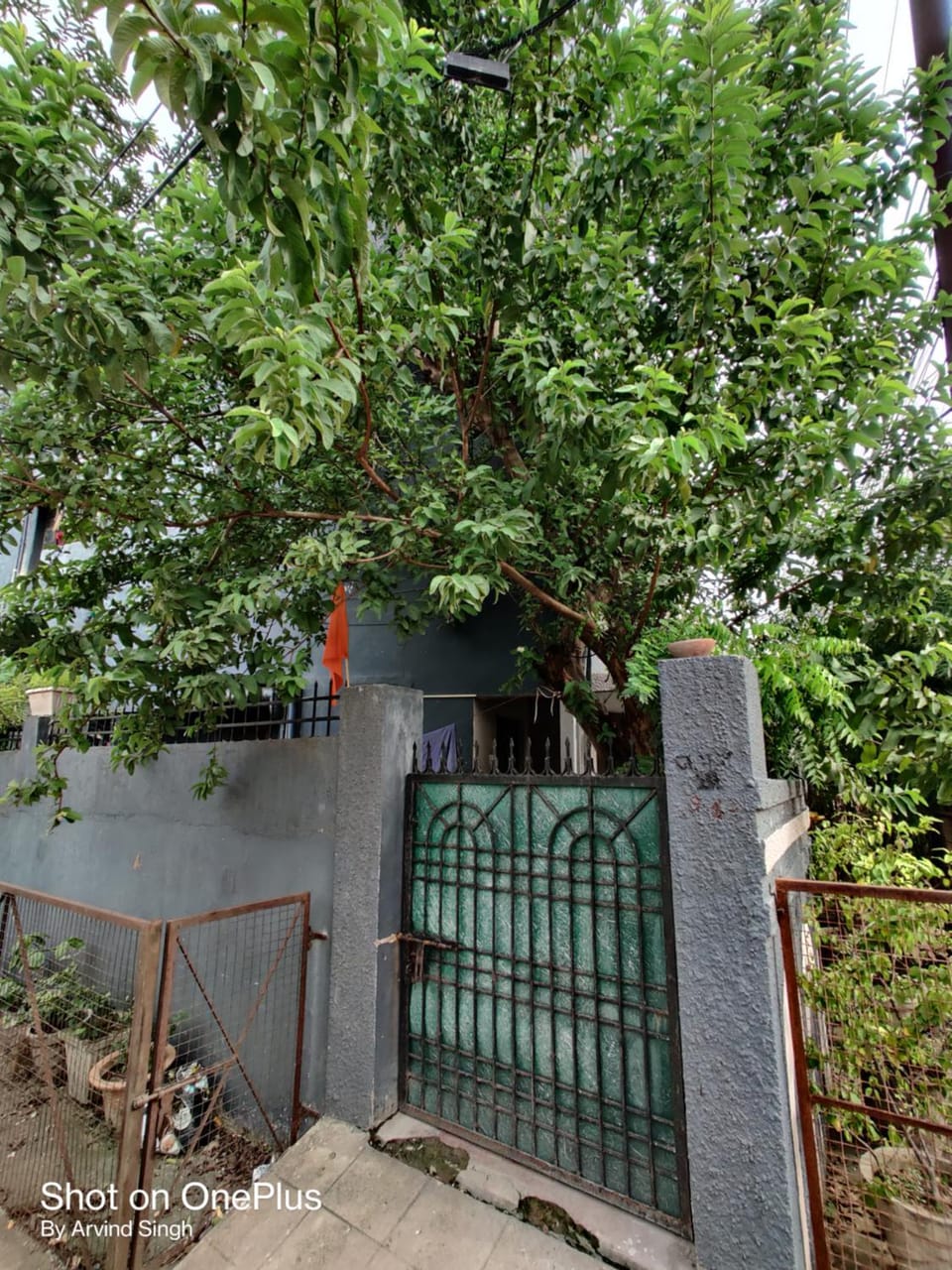 Shivam Kung villa Bed and Breakfast in India