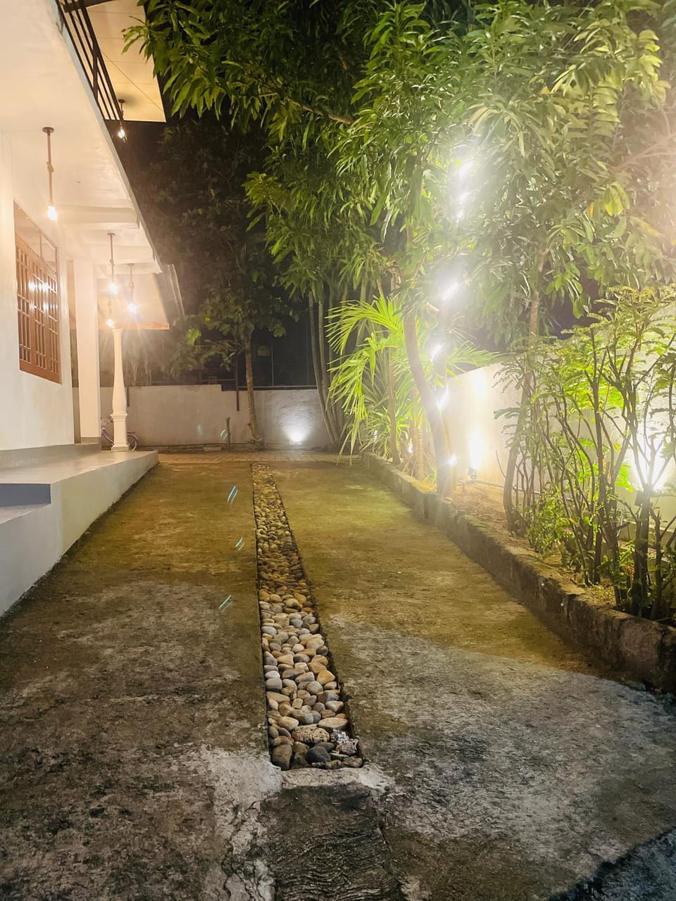Property building, Night, Garden, Garden view
