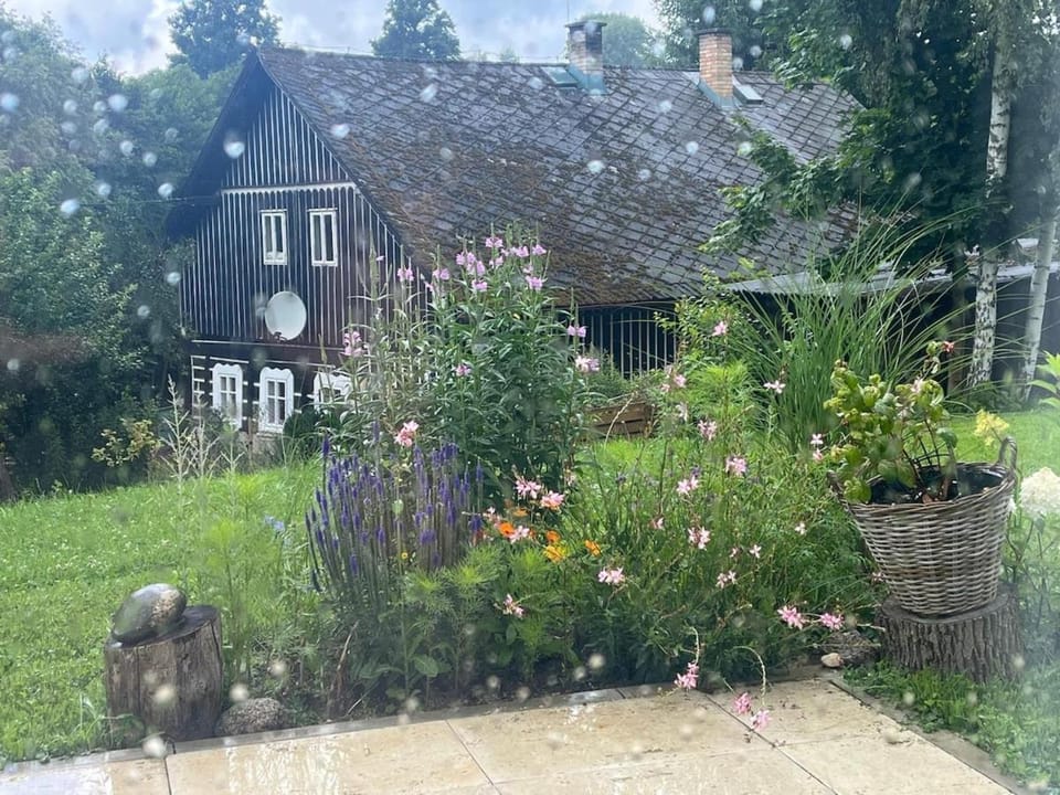 Garden, Garden view