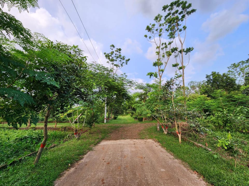 Krishibid Resort Resort in Dhaka Division, Bangladesh