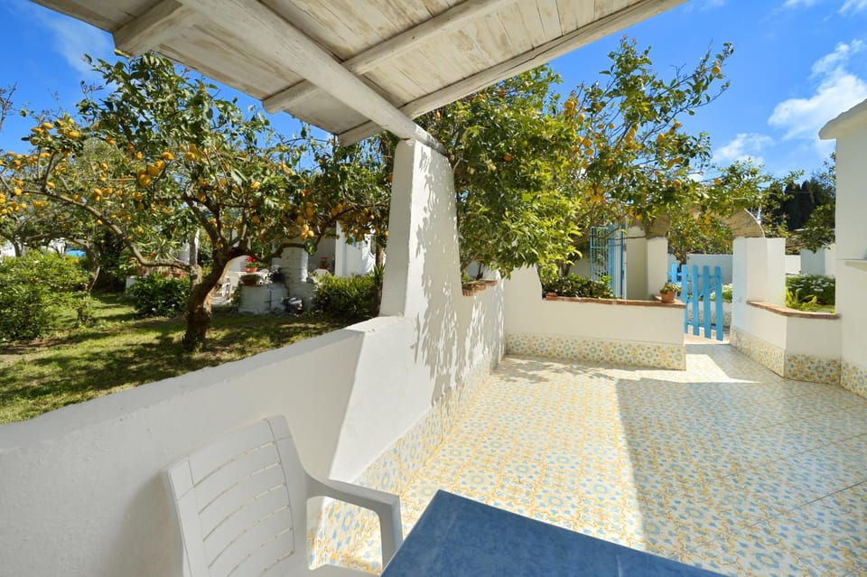 Property building, Patio, Spring, Day, Balcony/Terrace, Food and drinks, On site, Pets, Garden view, Entertainment