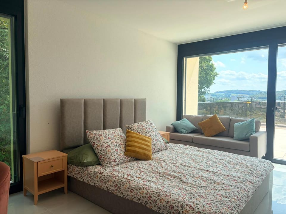 Las Terrazas A3 Apartment in Aargau, Switzerland