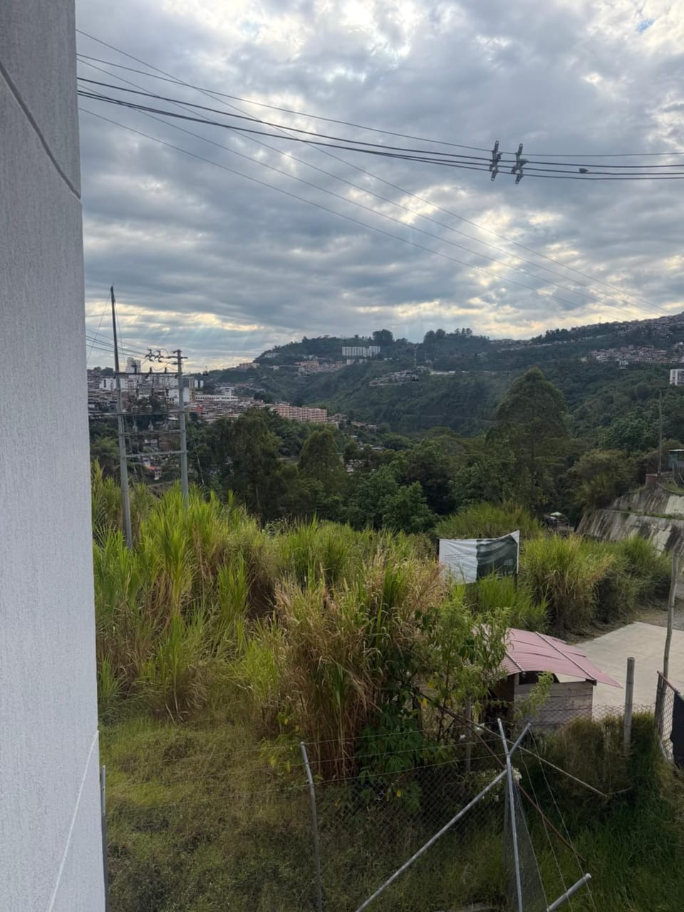 View (from property/room)