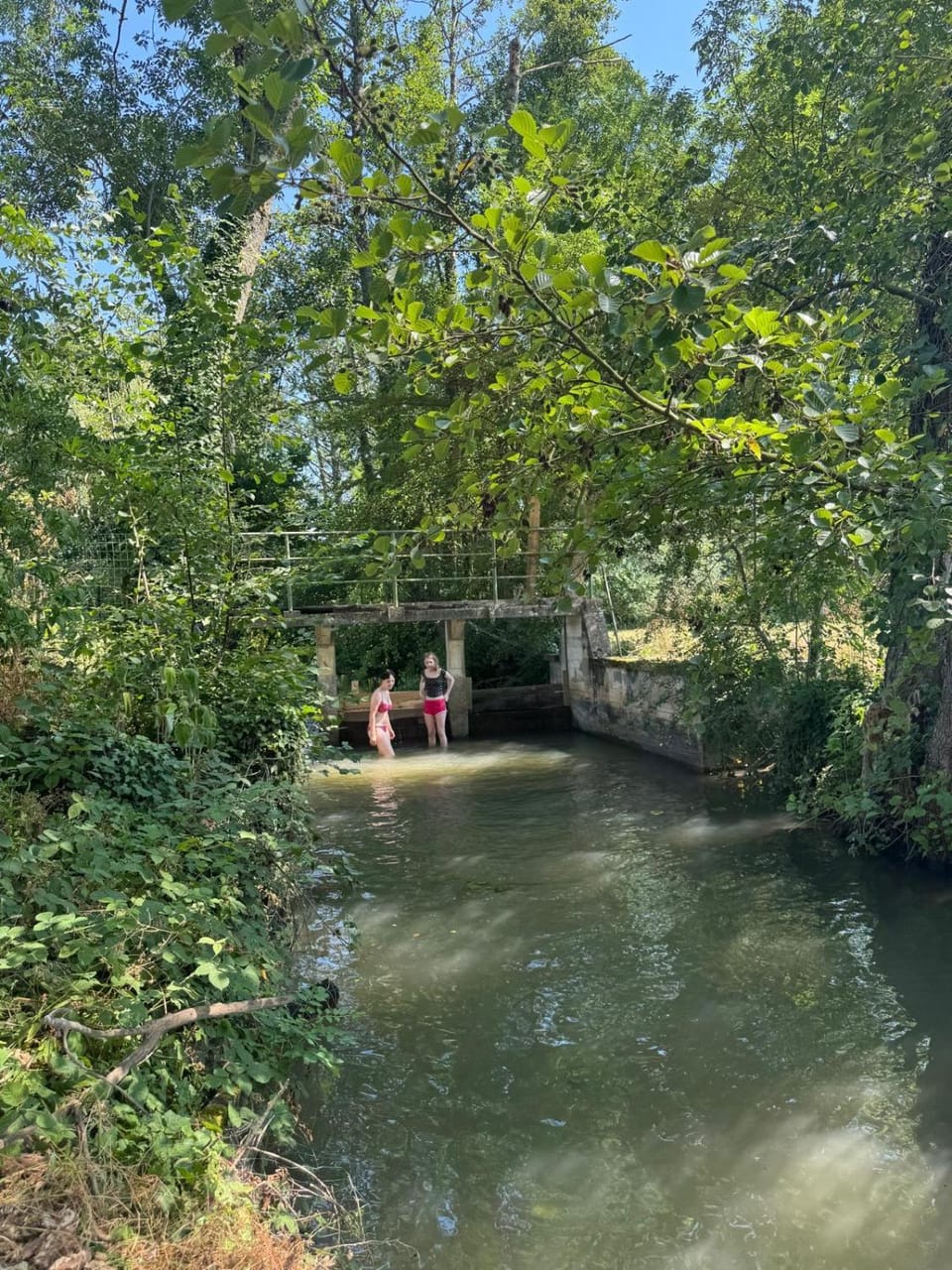 Natural landscape, Garden, River view, Open Air Bath, Open Air Bath