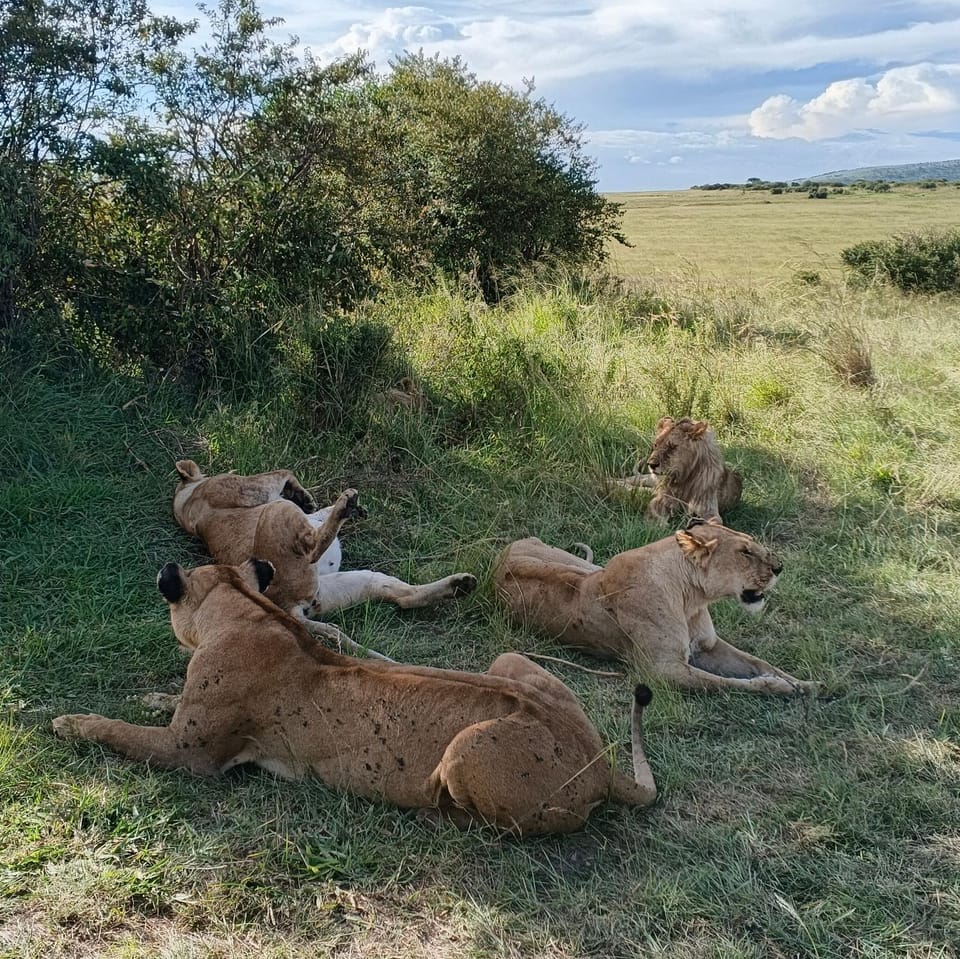 Oloibormut Nature lodge in Kenya