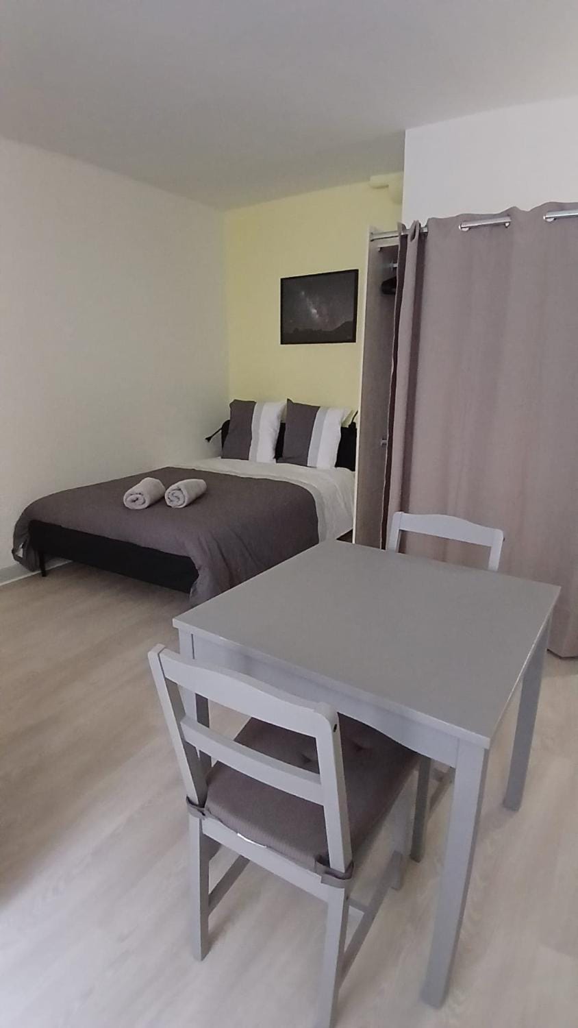 L Astral - studio cosy - centre historique Apartment in Clermont-Ferrand