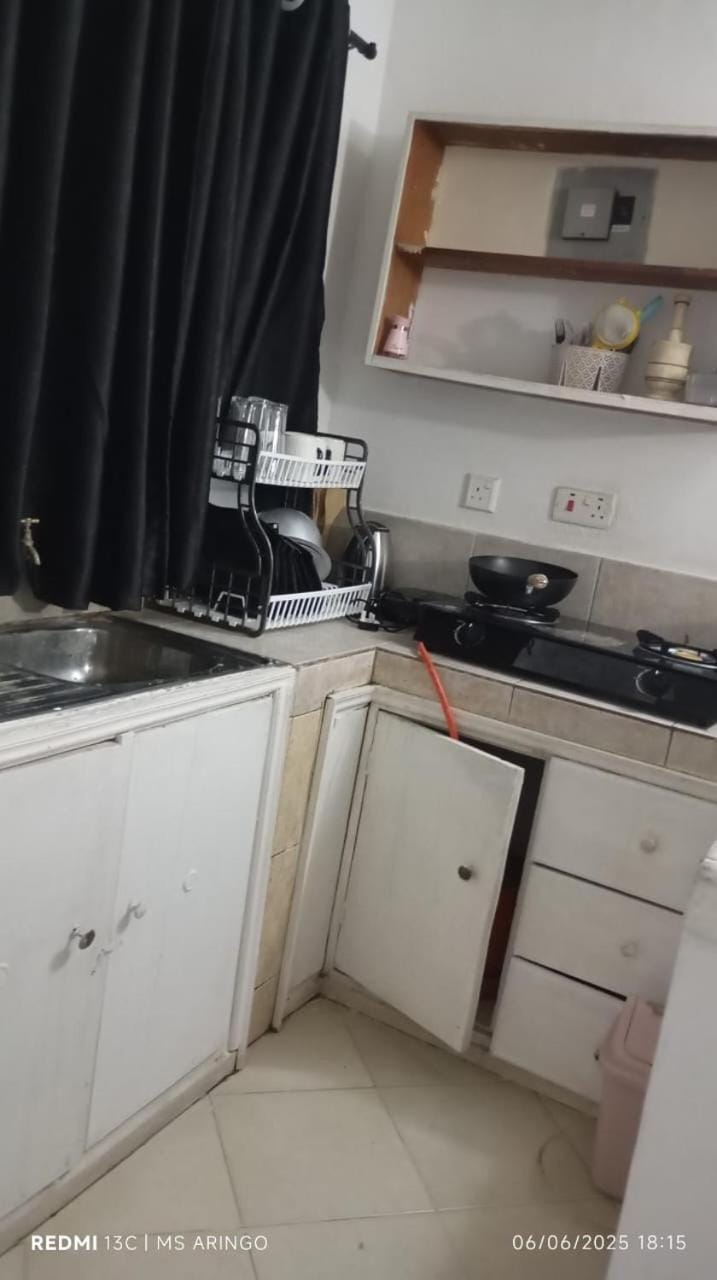 Kitchen or kitchenette, dishwasher