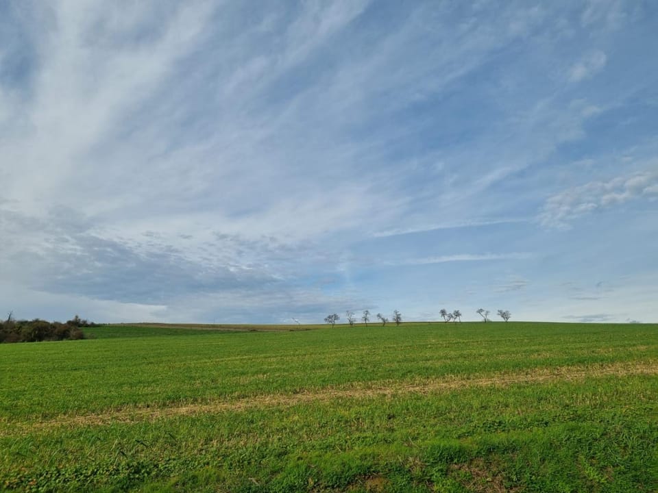 Natural landscape