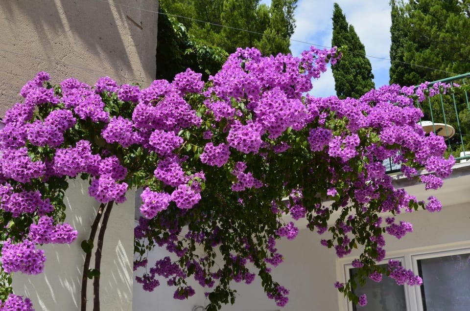 Spring, Other