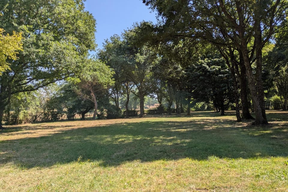 Natural landscape, Garden, Garden view