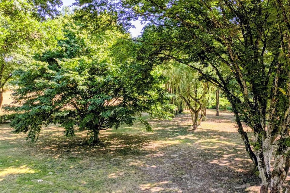 Natural landscape, Garden, Garden view
