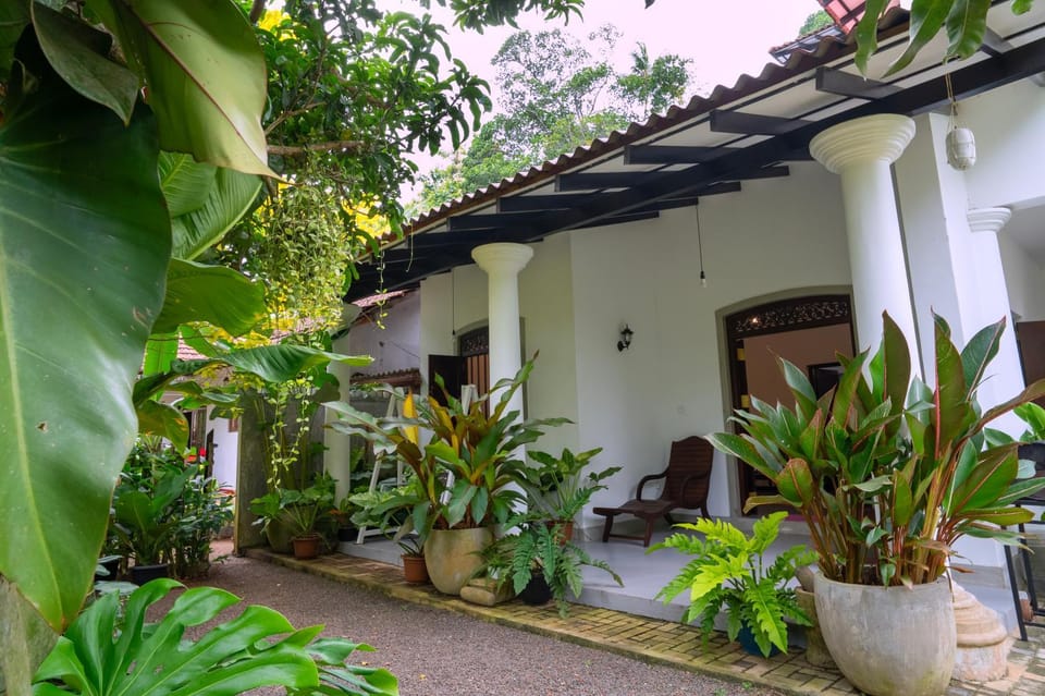 Property building, Patio