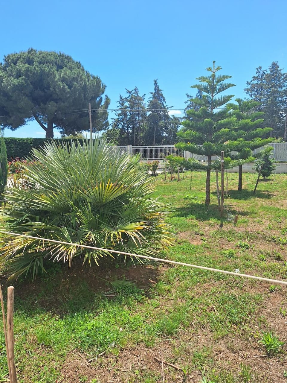 Sweet Garden Apartment in Province of Taranto