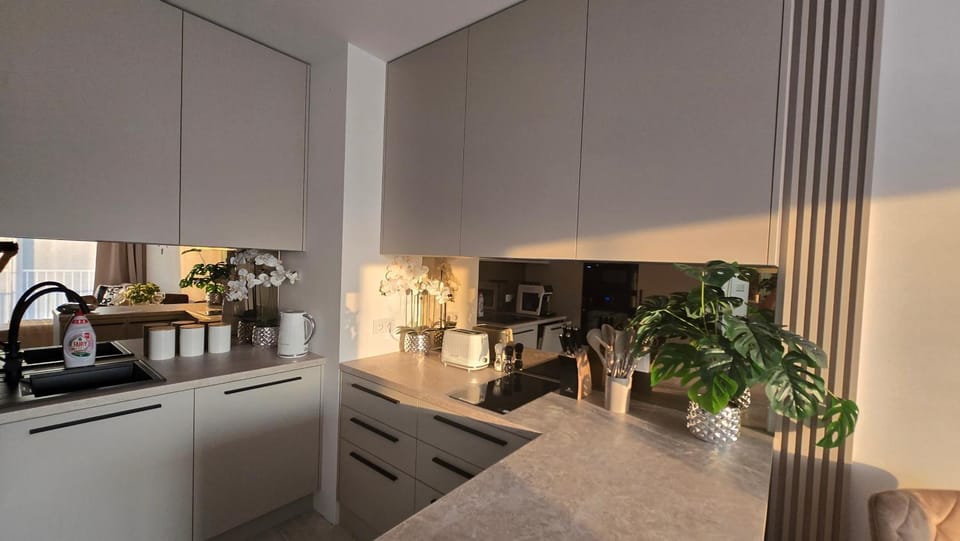Coffee/tea facilities, Kitchen or kitchenette, oven