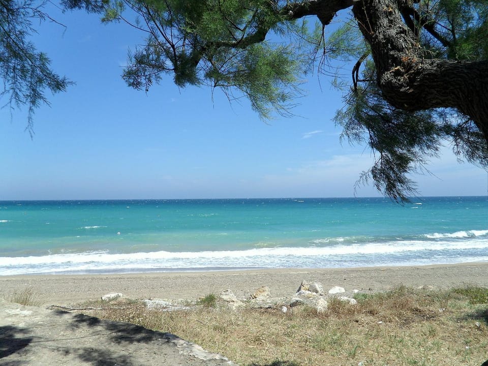 Off site, Neighbourhood, Summer, Beach, Beach