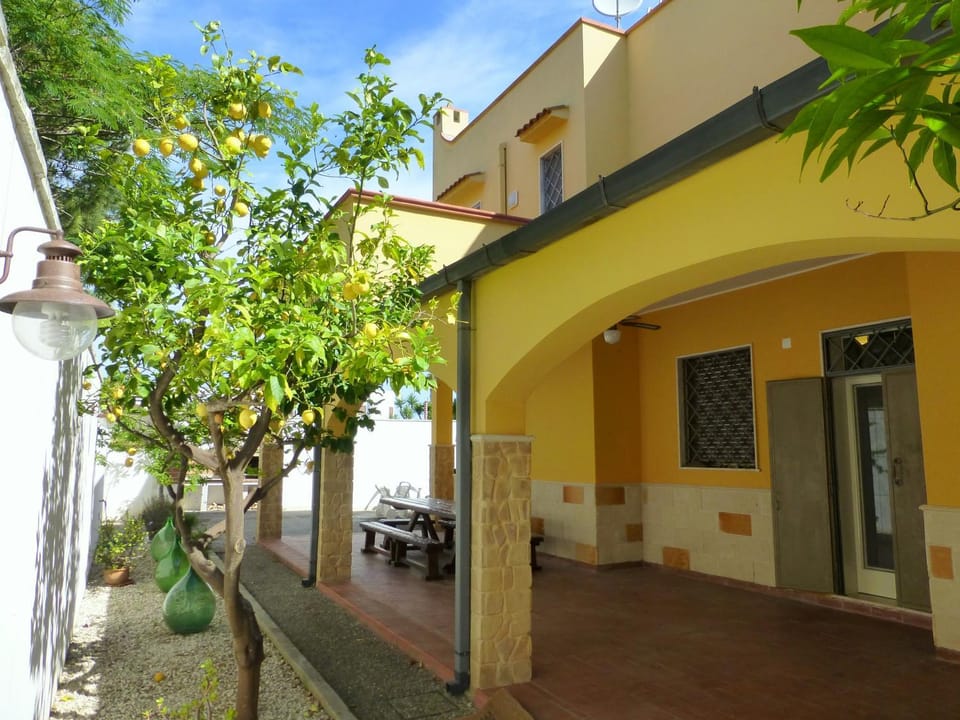 Garden, Balcony/Terrace, Garden view