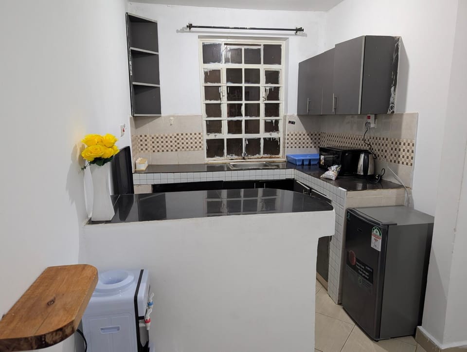 Kitchen or kitchenette, Dining area, dishwasher, stove