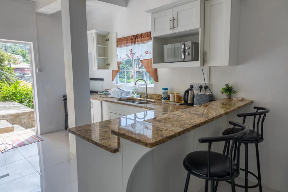 Seaview Apartment Apartment in Caribbean