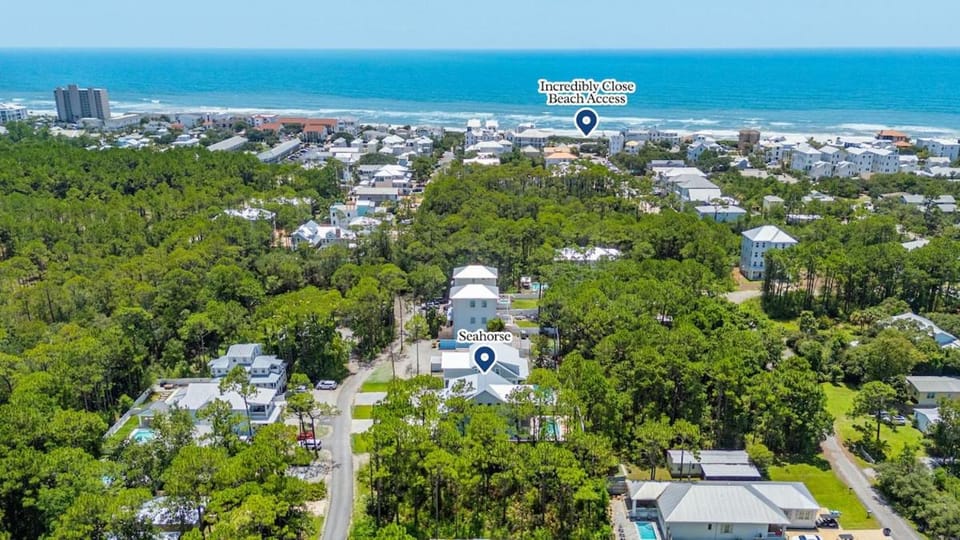 Seahorse New 30A beach home 1 and a half miles to Seaside House in Seagrove Beach
