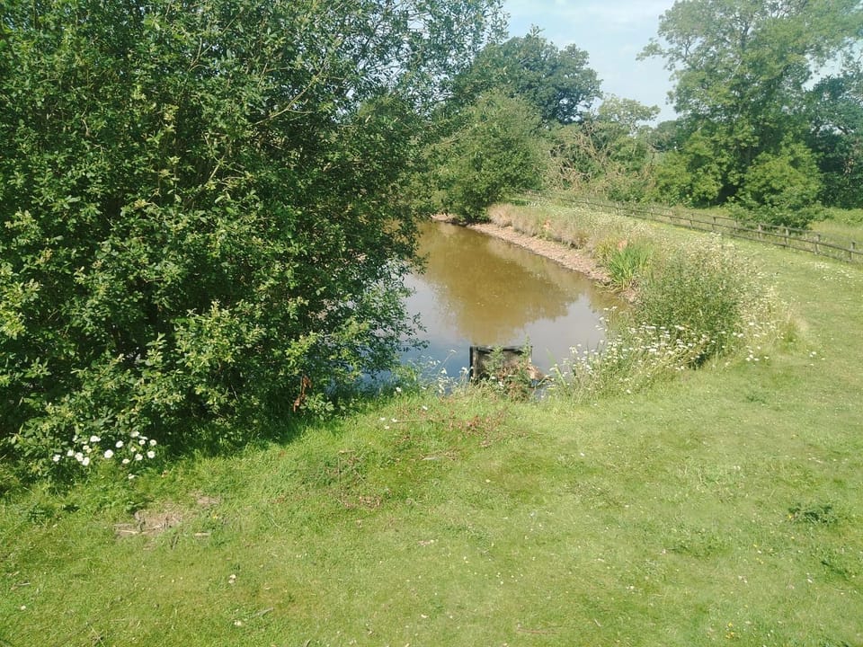 Lodge 11 Upton Lakes & Lodges Old Hill Cullompton Devon EX151RA House in East Devon District