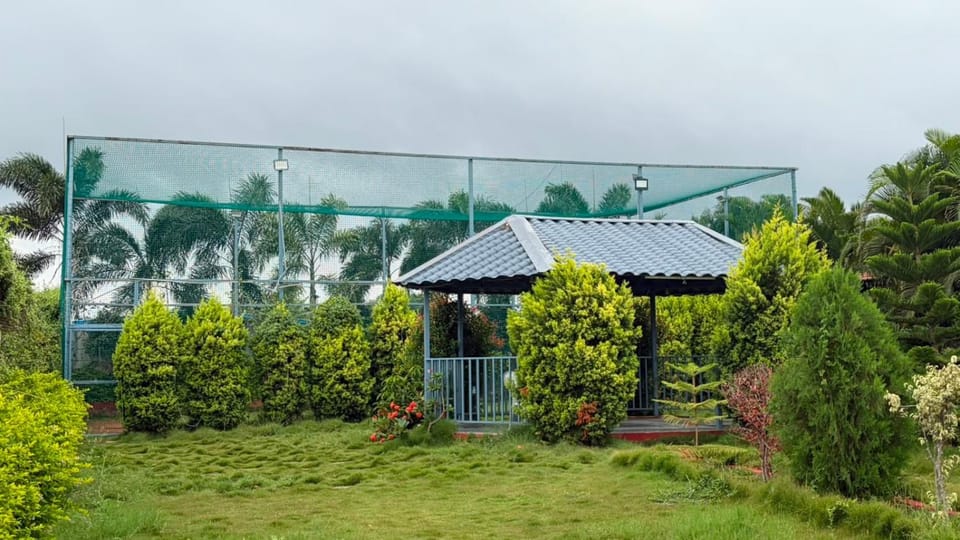 Day, Garden, Garden view