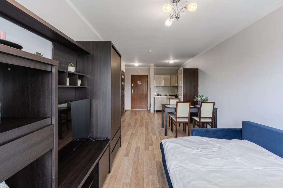 Bed, TV and multimedia, Kitchen or kitchenette, Photo of the whole room, Dining area, Bedroom, stove, wardrobe