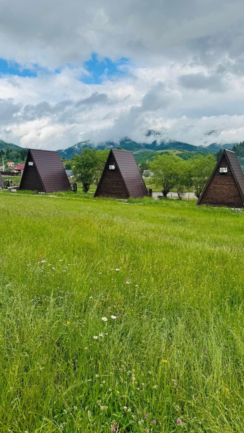 Котедж Shalet Apartment in Ukraine