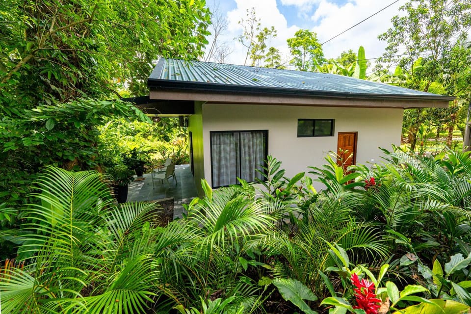 Natural landscape, Garden view