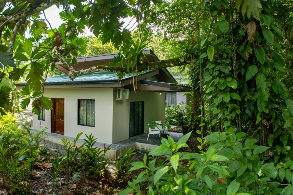 Property building, Garden view