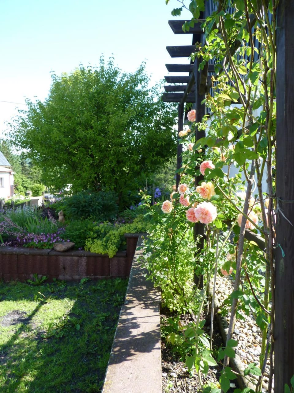 Summer, Garden