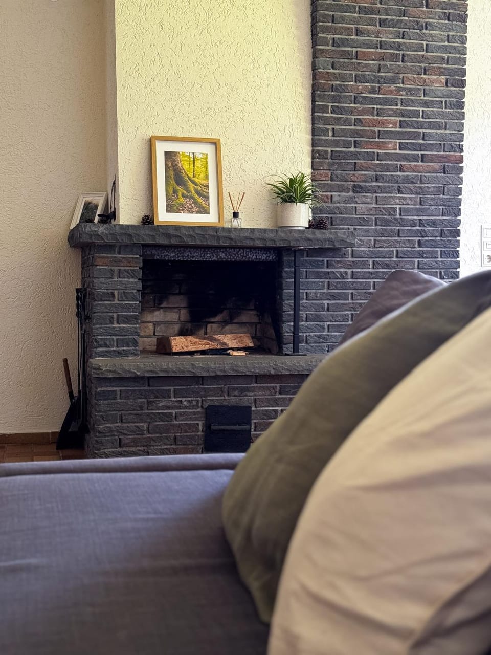 Living room, Photo of the whole room, fireplace