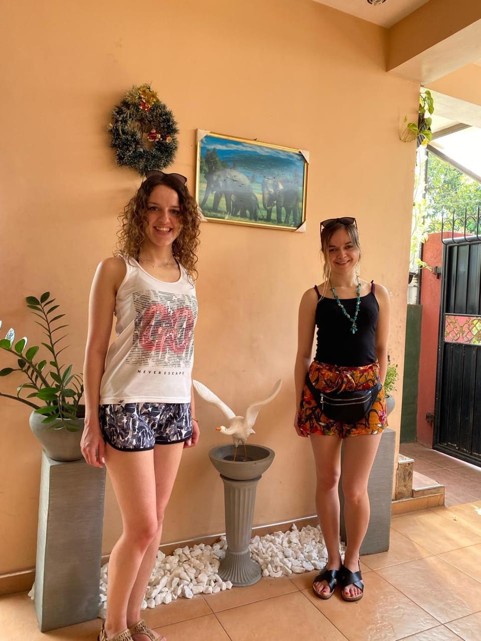 Daffon Guest House Bed and Breakfast in Negombo