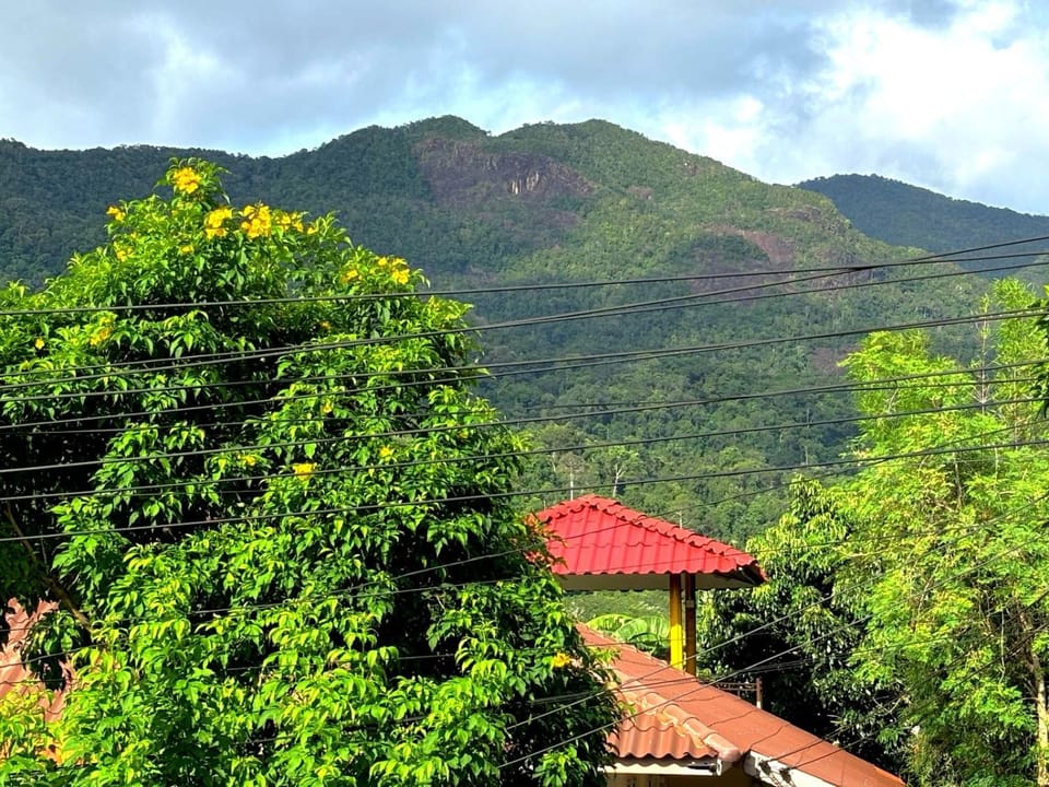 View (from property/room)