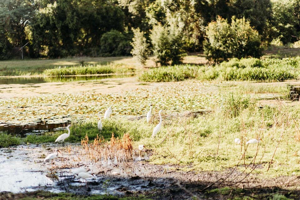 Natural landscape