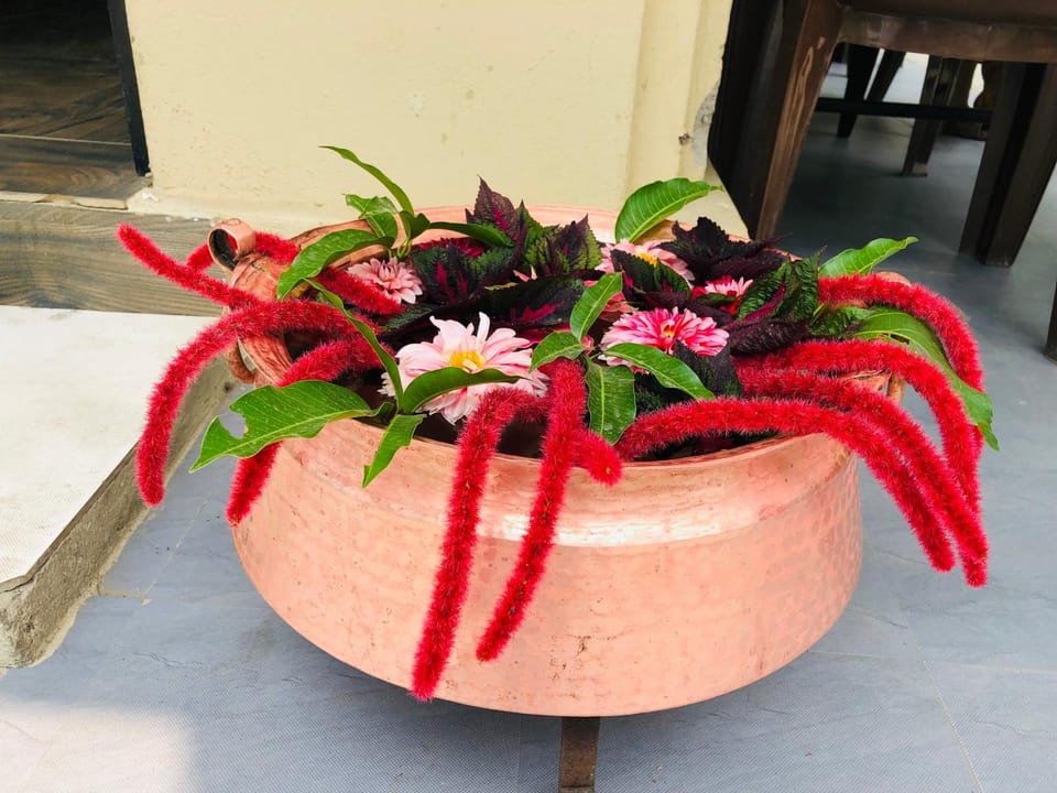 silent park sauraha Hotel in Bagmati Province, Nepal