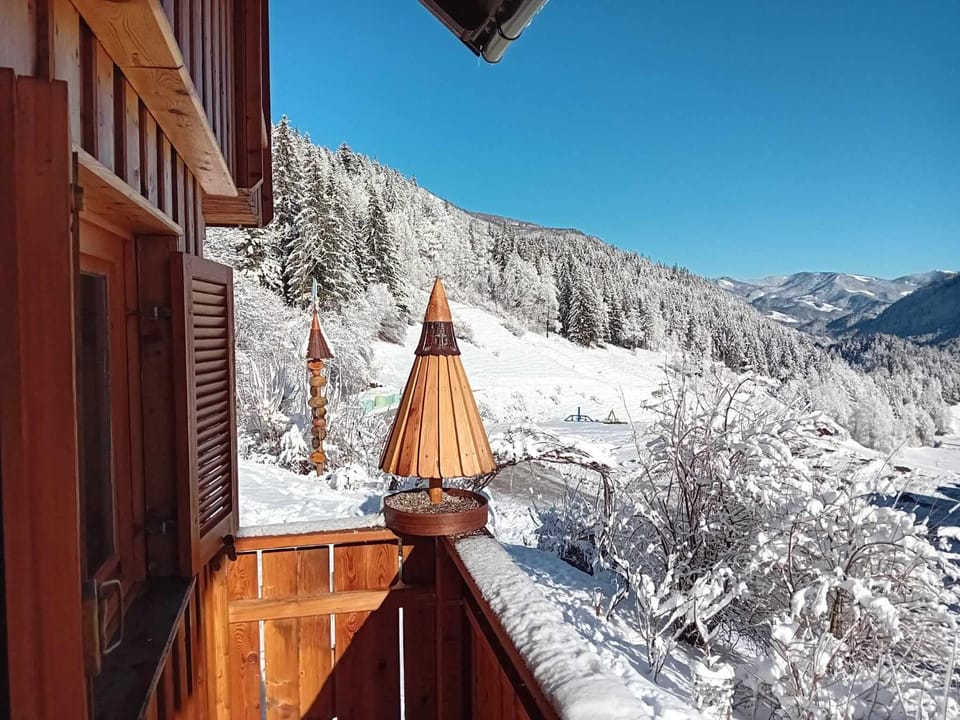 Počitniška hiška Kašta House in Slovenia